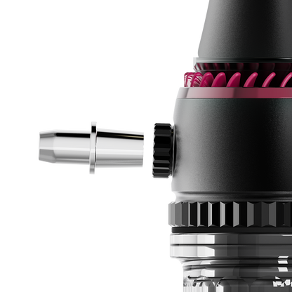 Maxx Royal Ruby Black